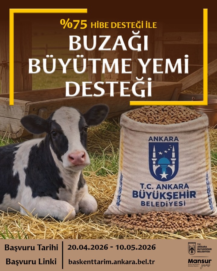 Buzağı Büyütme Yemi Desteği
